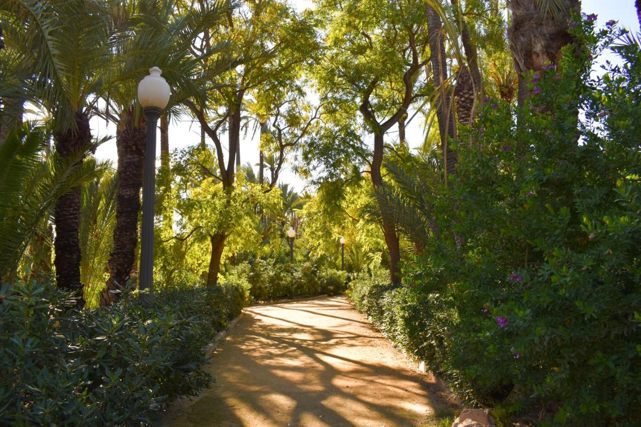 Rafaello ,,la Zona Cabo Roig, Area Cabo Roig