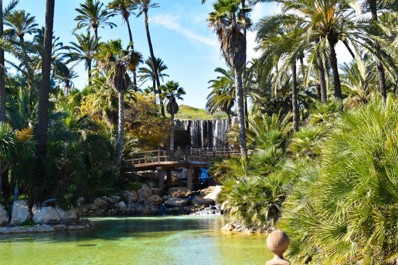 Rafaello ,,la Zona Cabo Roig, Area Cabo Roig