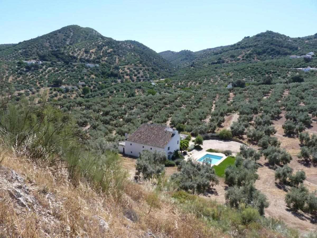 Holiday home El Cerro Del Almendral *
