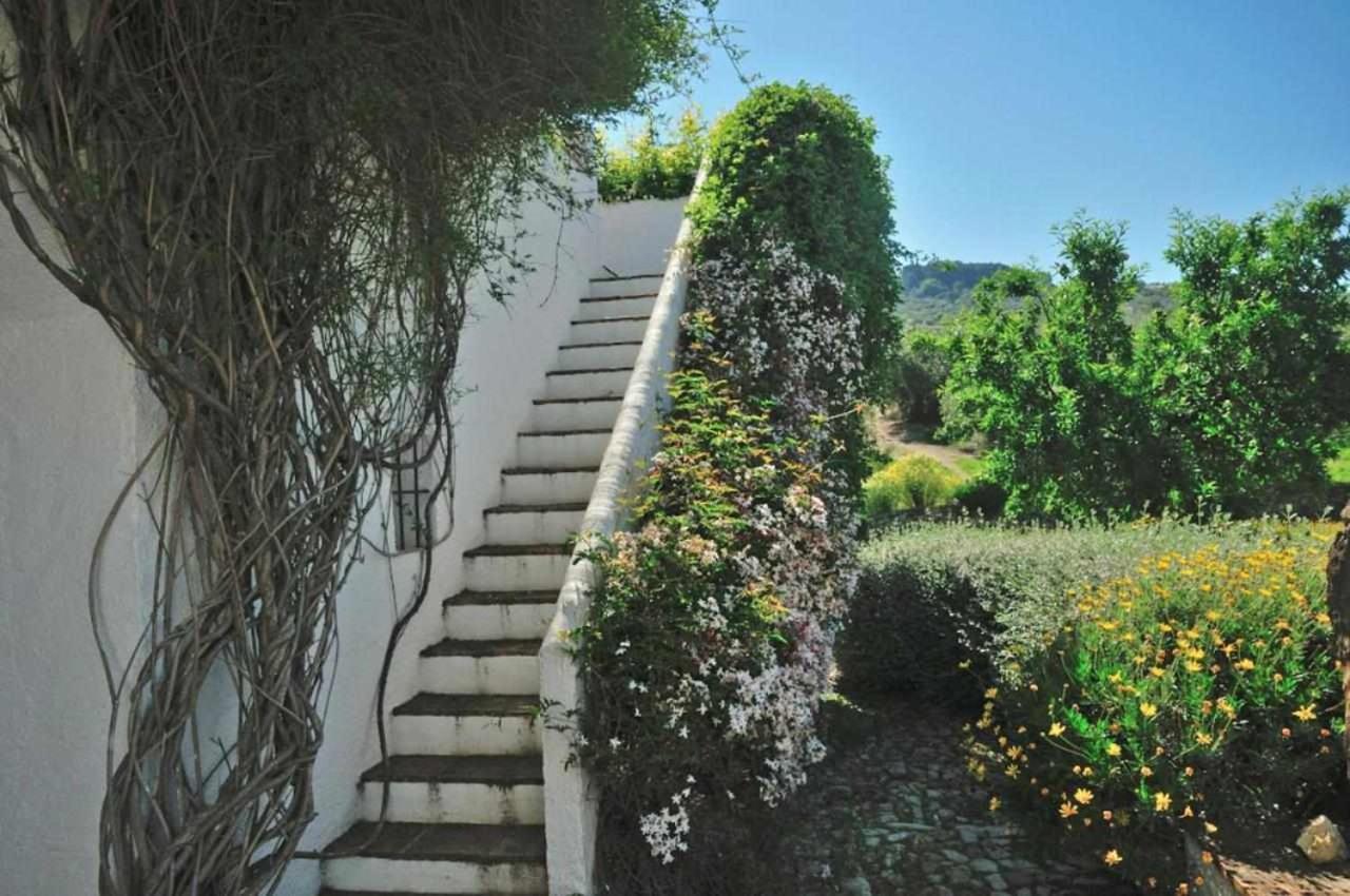 Holiday home El Cerro Del Almendral La Carrera de la Vina