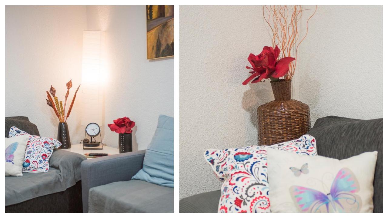 Apartamento Feliz Toledo