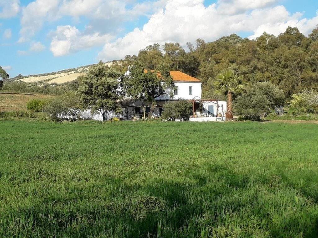 Meleros Andalucian Set In Its Own Land With Beautiful Terraces, Garden & Pool. Villa *