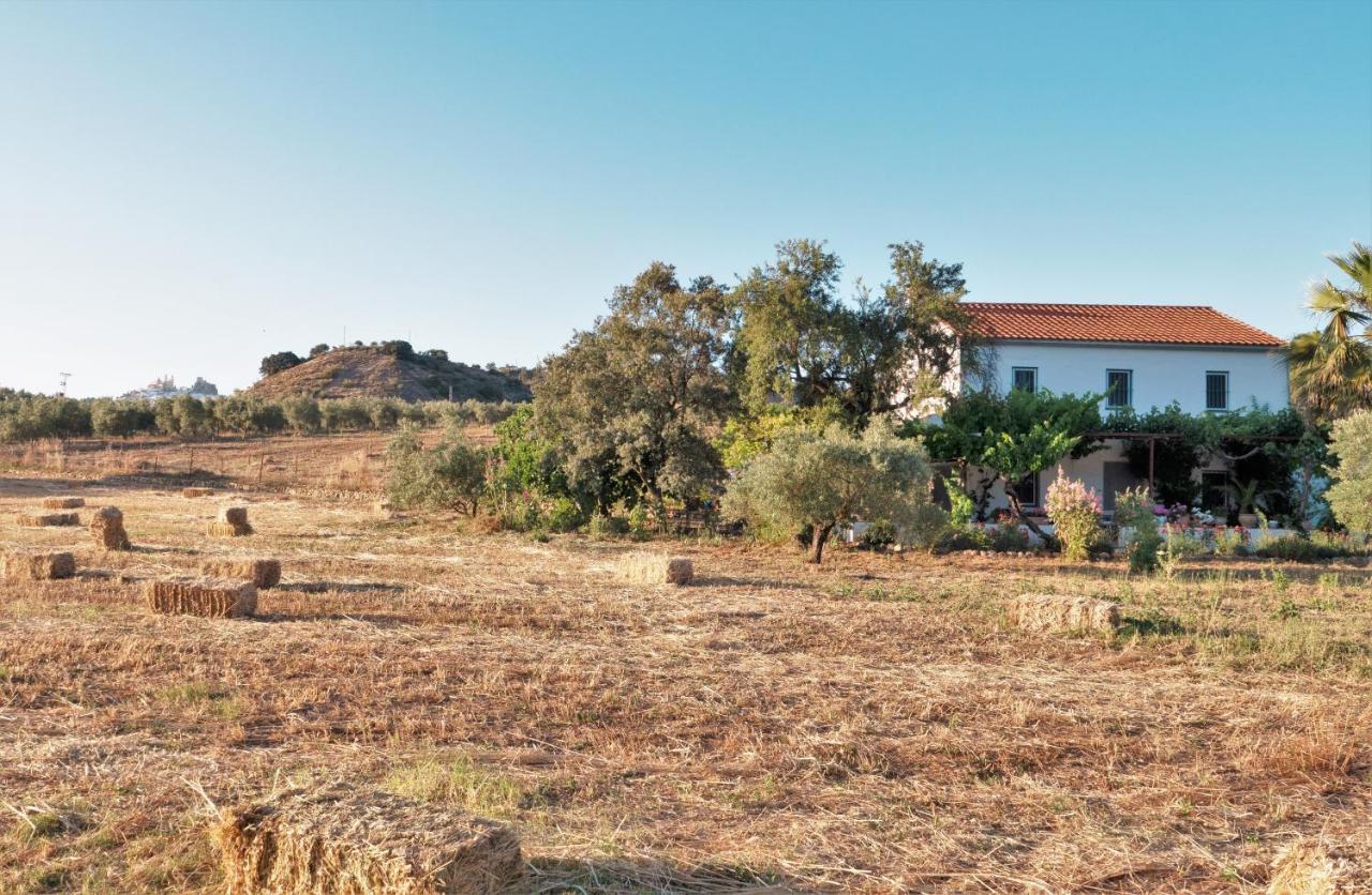 Meleros Andalucian Set In Its Own Land With Beautiful Terraces, Garden & Pool. Villa Olvera
