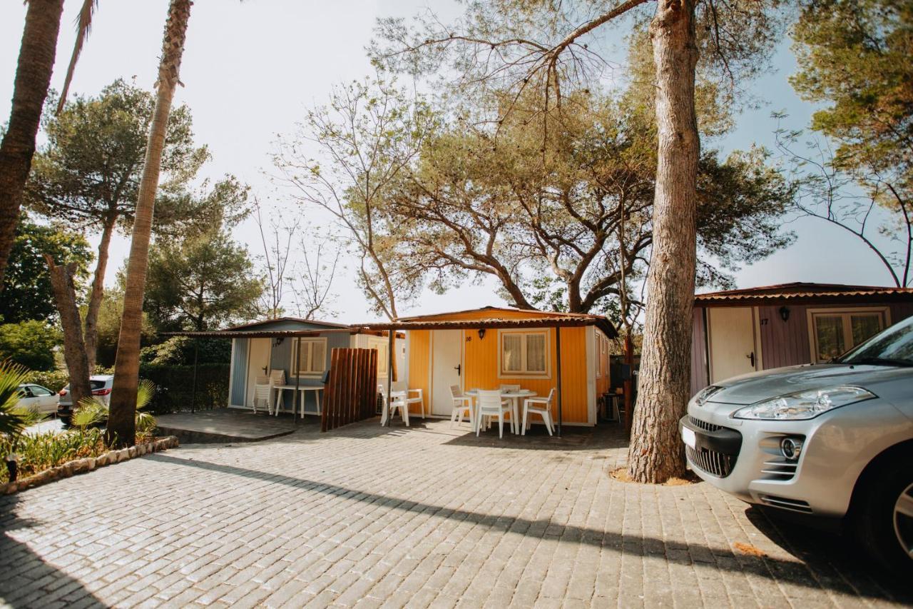 Caledonia Campsite