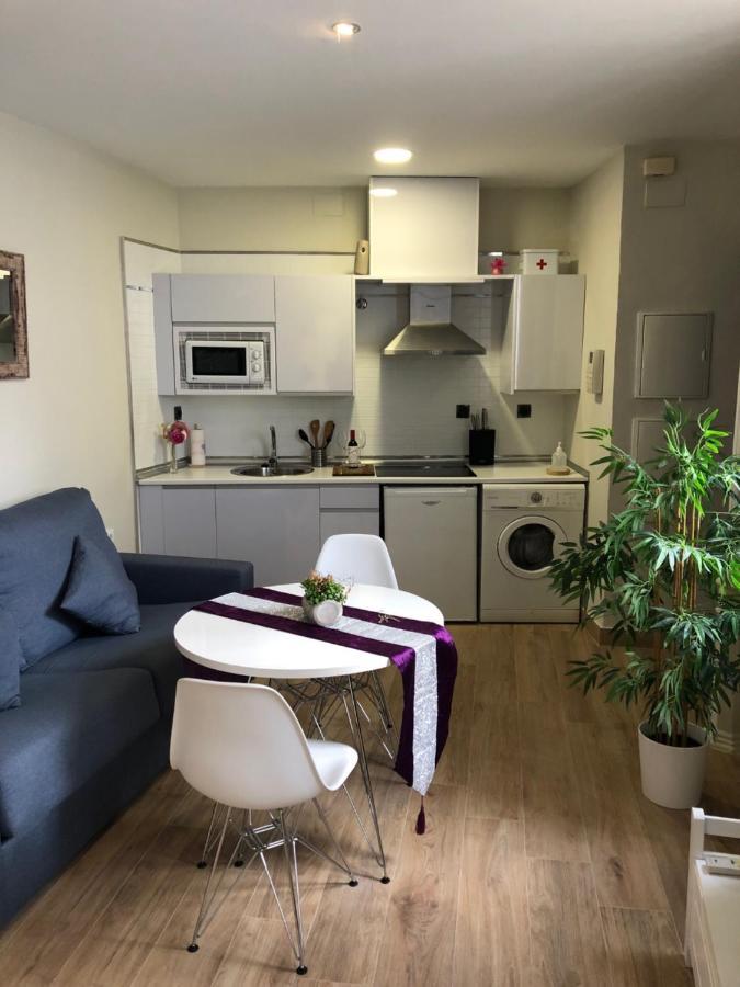 Coqueto Centrico Apartment