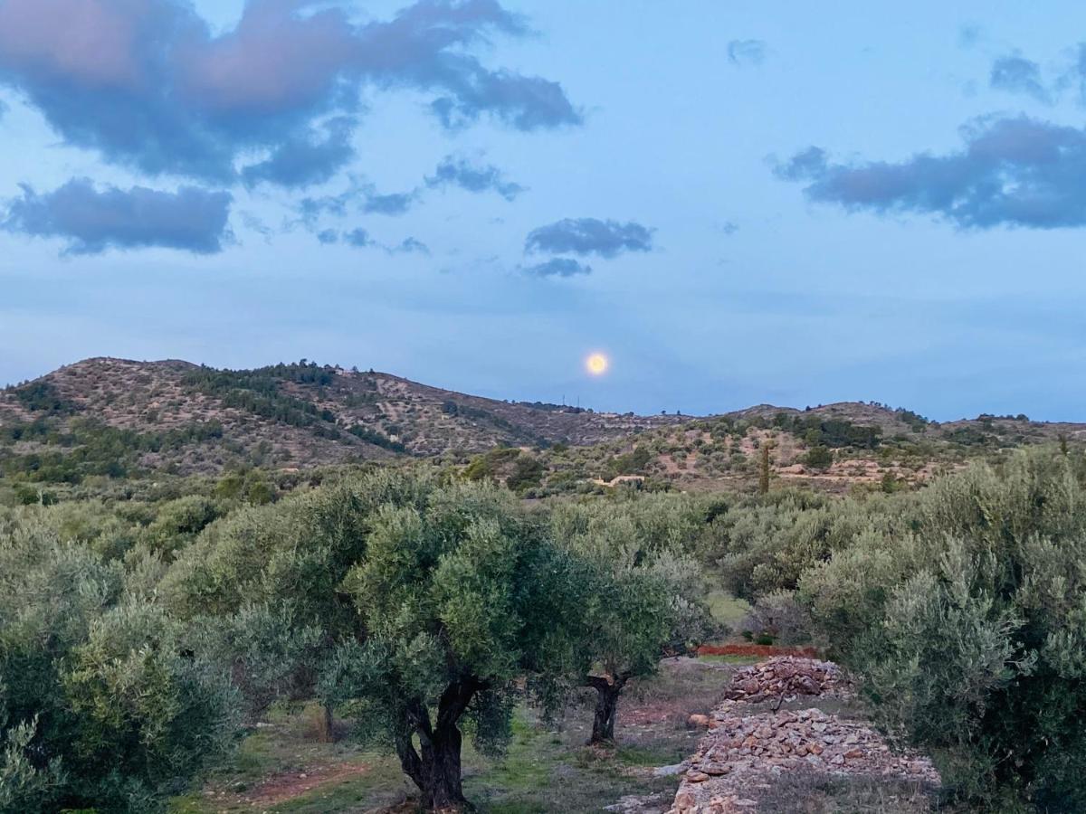 Paraiso Bell Tent Tortosa