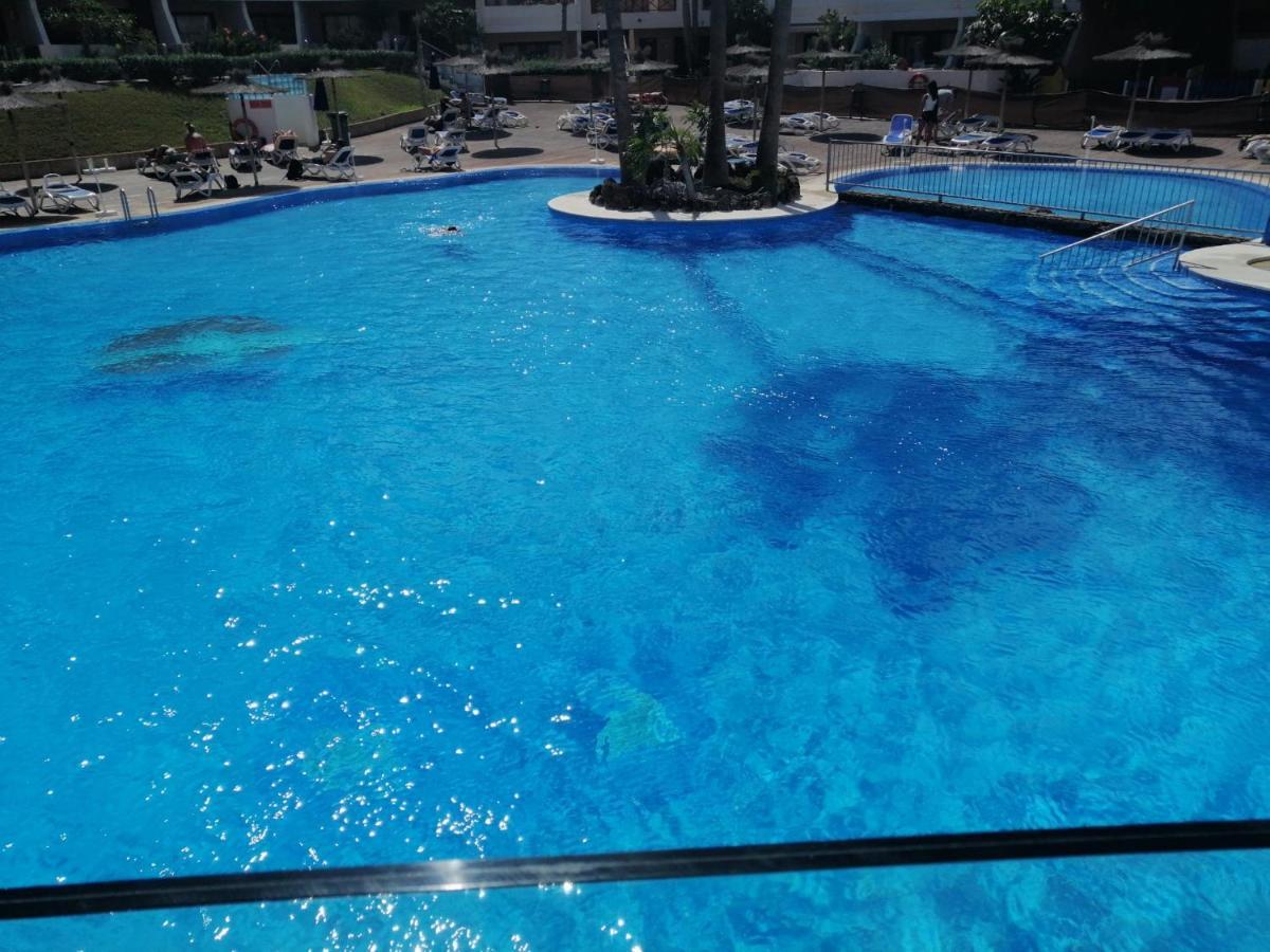Amarilla-parque Albatros San Miguel de Abona