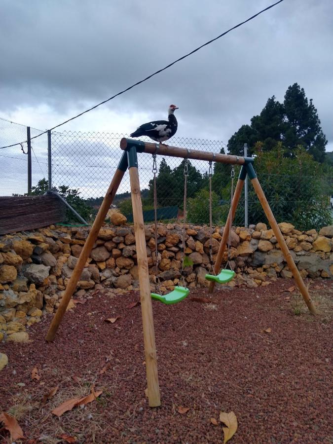 La Tagora En Icod De Vinos Chalet *