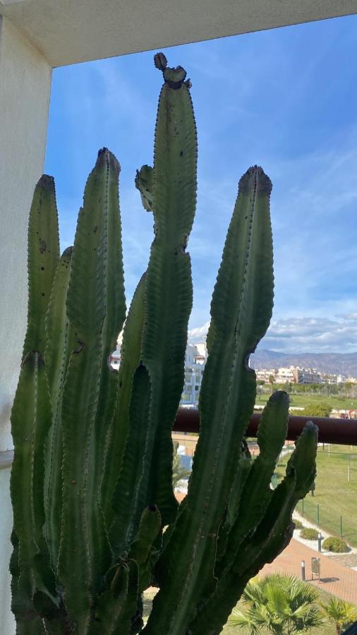 Apartamento Cabo De Gata-toyo Retamar (Almeria)