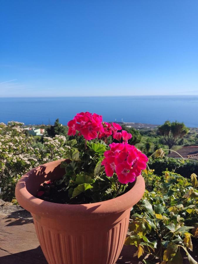 Casa Roberta Monte de Brena