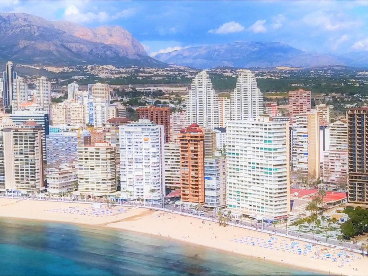 Halcon Levante Benidorm