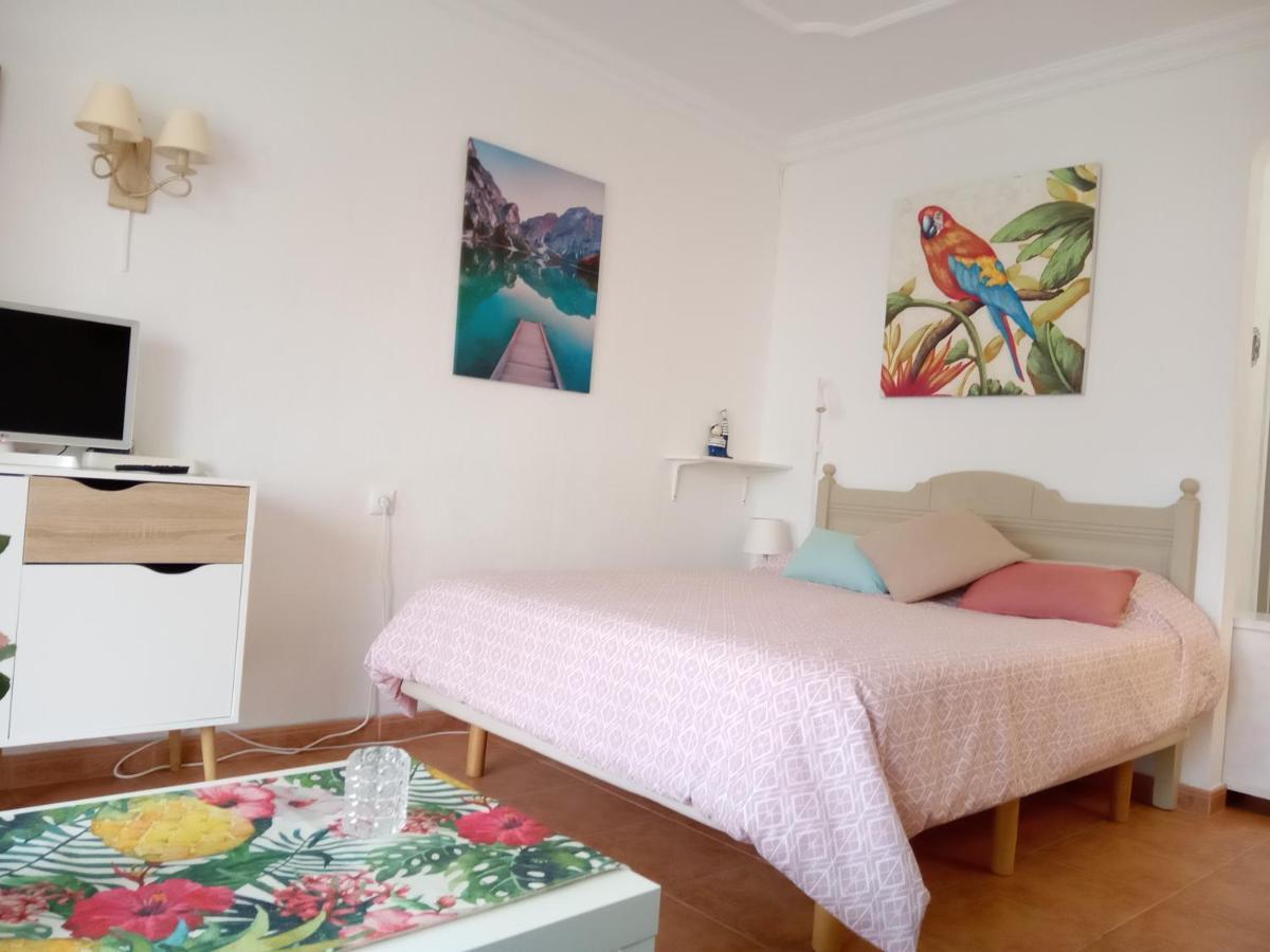 Apartamento Luminoso Y Tranquilo Estudio Zona Botánico Vista Teide Puerto de la Cruz (Tenerife)