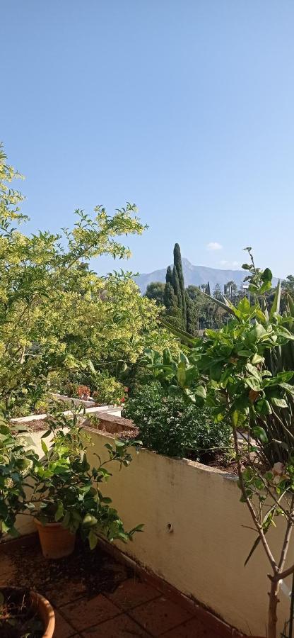 Homestay Sunny And Cozy