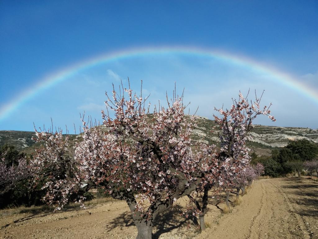 Mas De Sant Pau - Turistrat. Albocácer