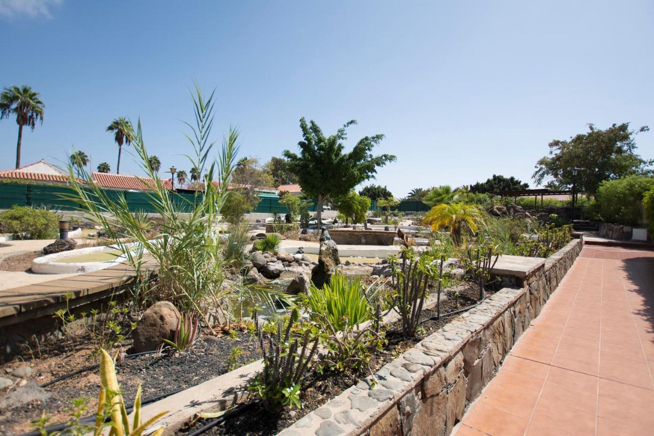 Serenity Garden Apartamento