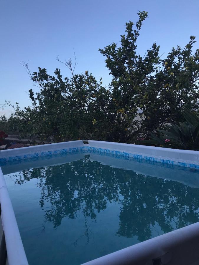 Asociación Nomad Birds Agroturismo