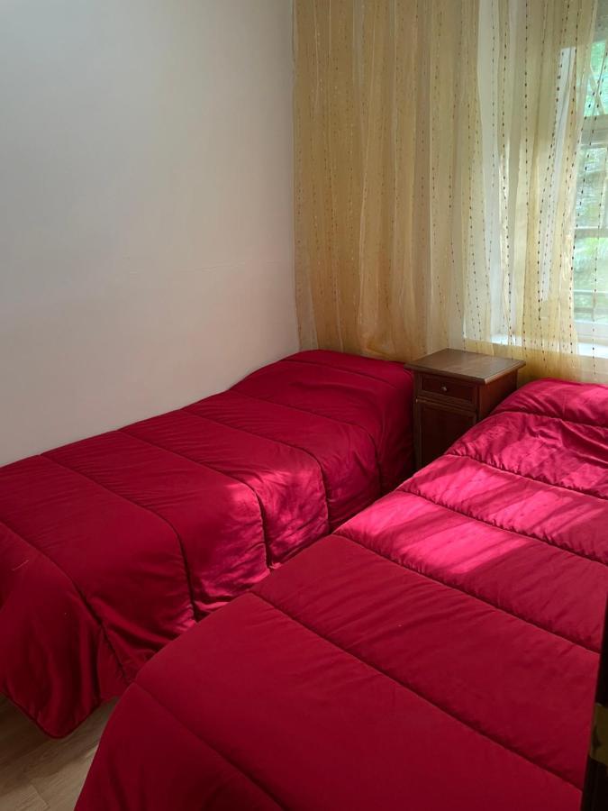 Hostal El Nuevo Salau *