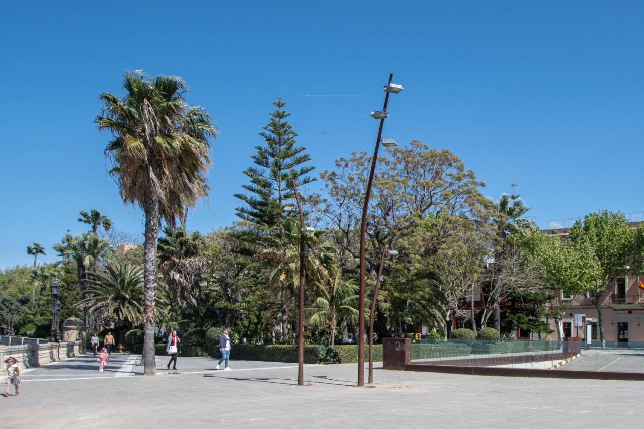 La Araucaria - Cadiz