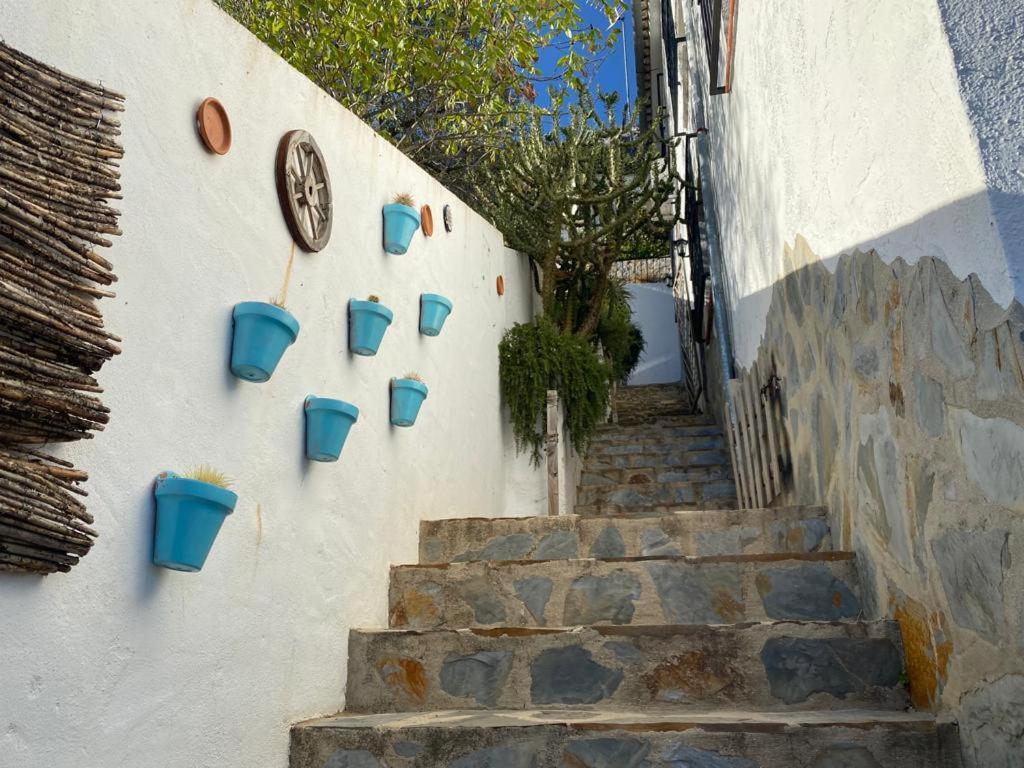 Rural Bella Vista