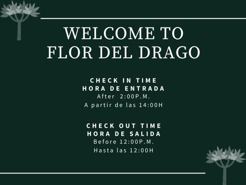 Apartamento Flor Del Drago *