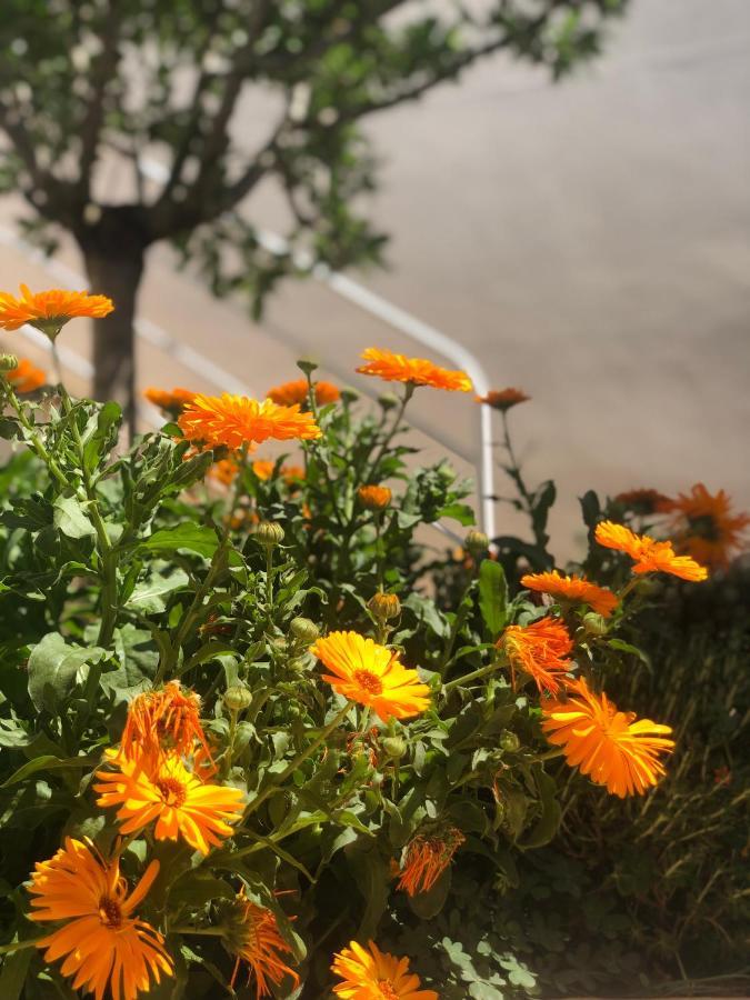 Doble Con Bano Privado Casa Tipica Ciutadella Centro Homestay *