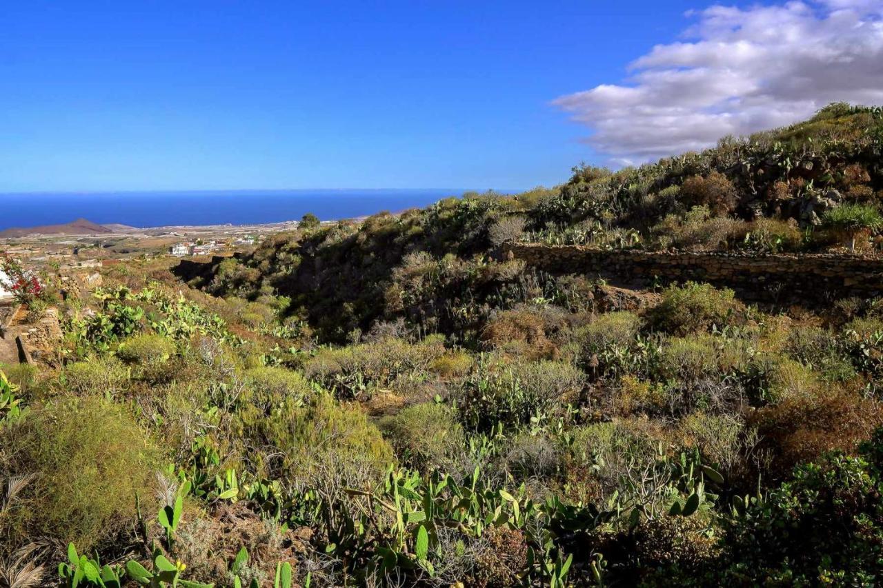 Rural Casa Blanca By Tenerife & Sales * Granadilla De Abona