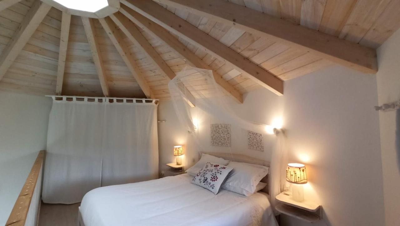 Mini Casa Con Jardin