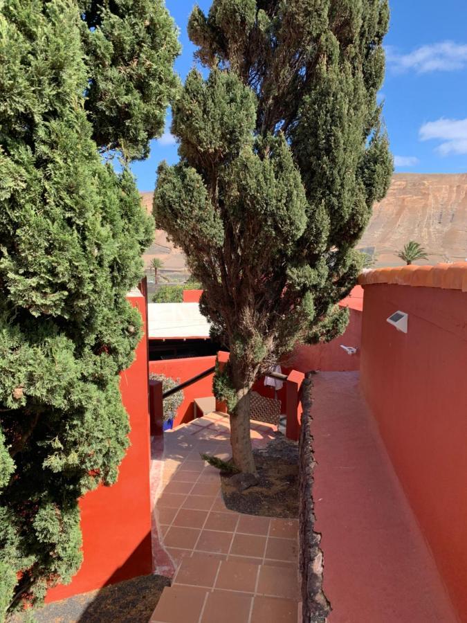 Centro Ave Fenix Femes