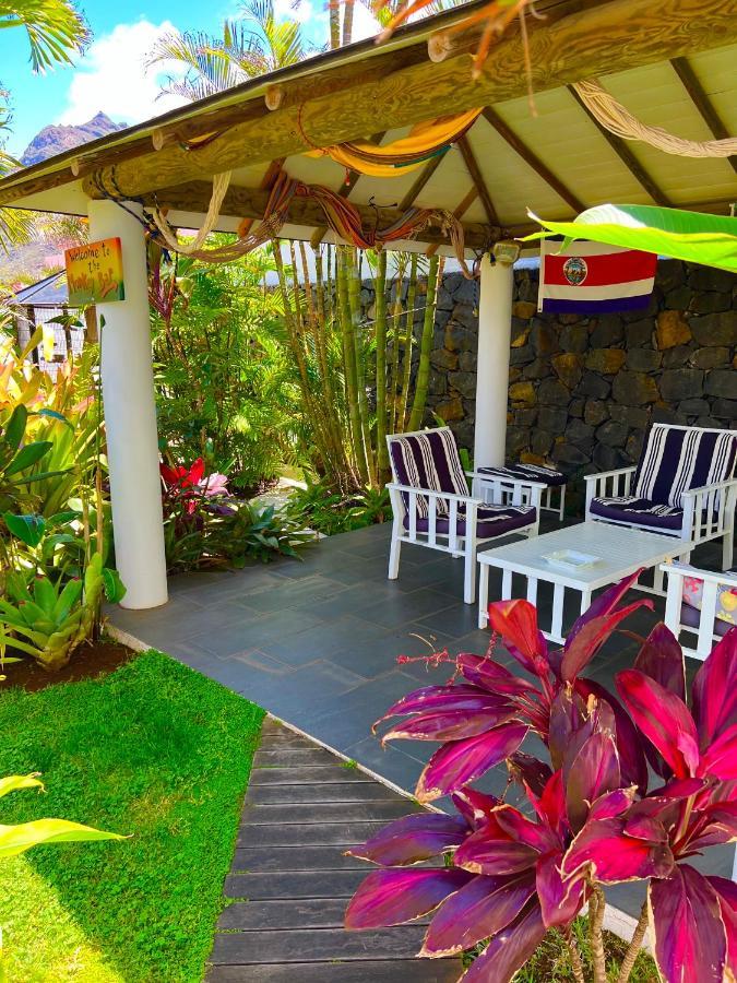 La Selvita Homestay *