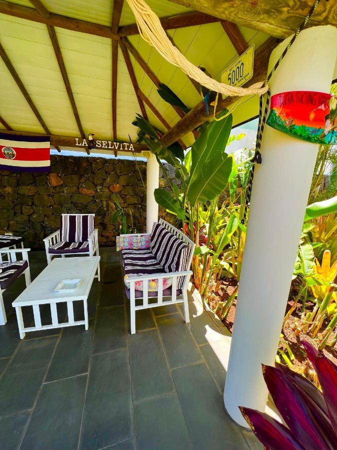 La Selvita Homestay Bajamar (La Laguna)