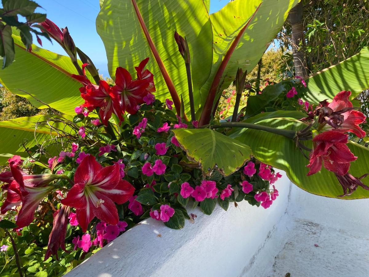 Taburiente Tijarafe