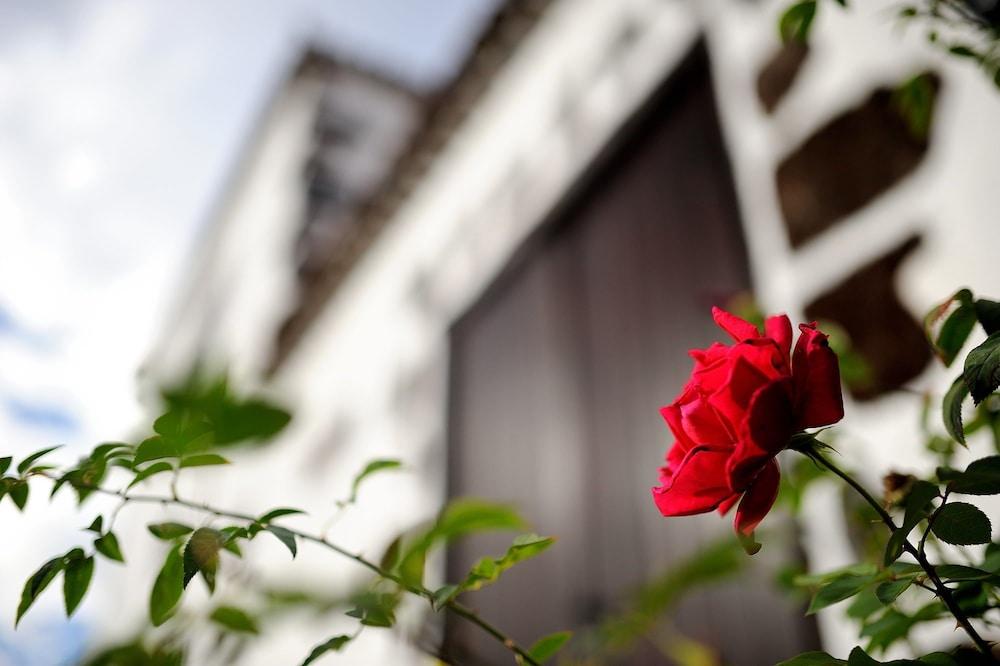 Country house Rural Jardines De Milano (adults Only) *