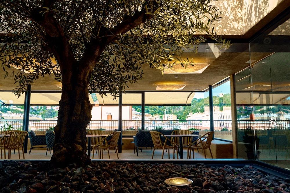 Delfín Hotel 4*