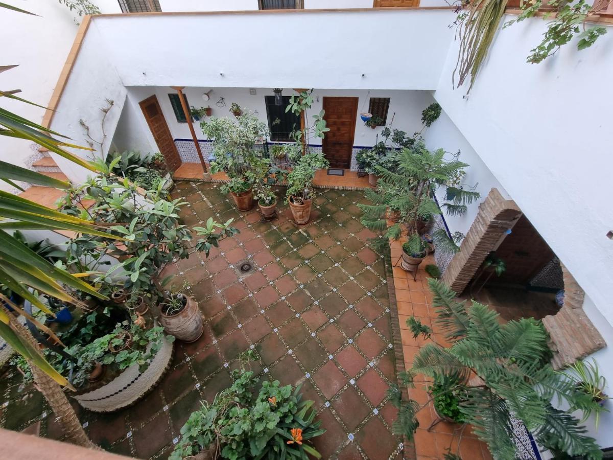 Apartamento De Estreno En Patios Tipicos De San Basilio *