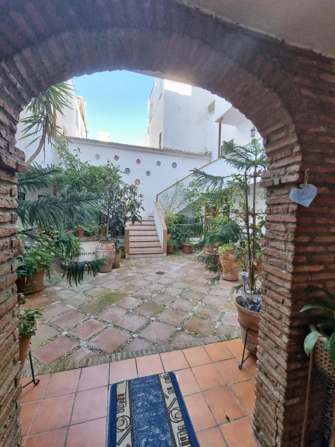 De Estreno En Patios Tipicos De San Basilio Córdoba