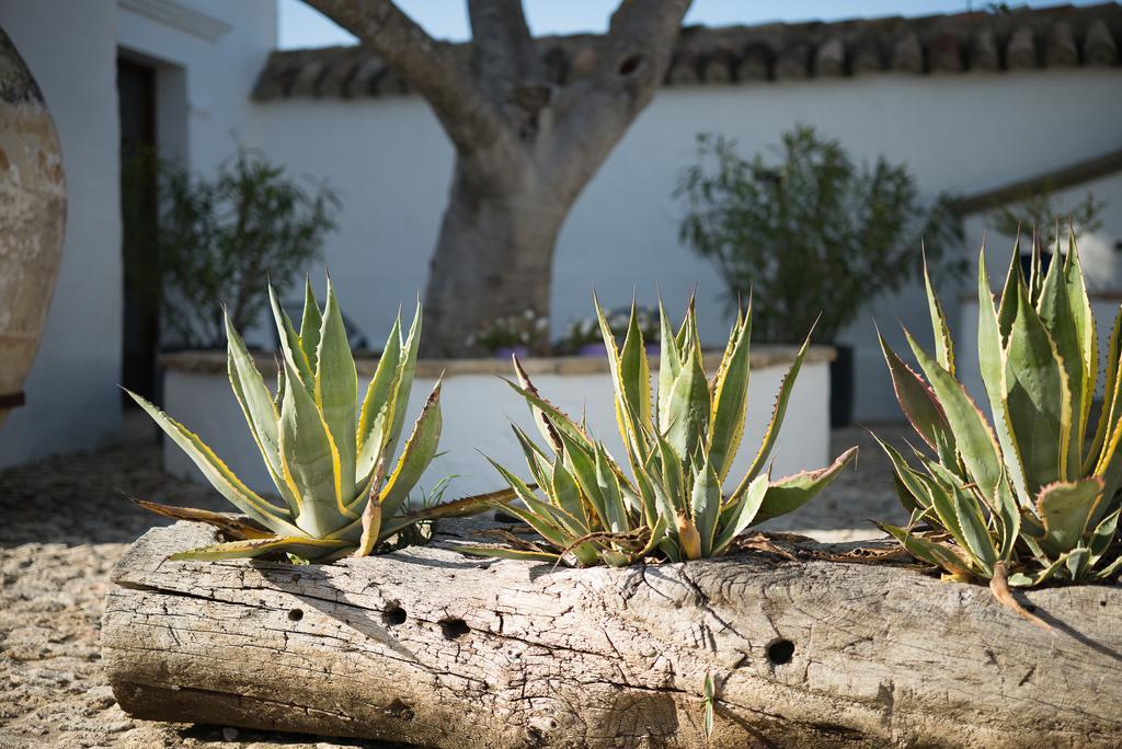 Bed and breakfast Cortijo El Guarda Alcalá del Valle