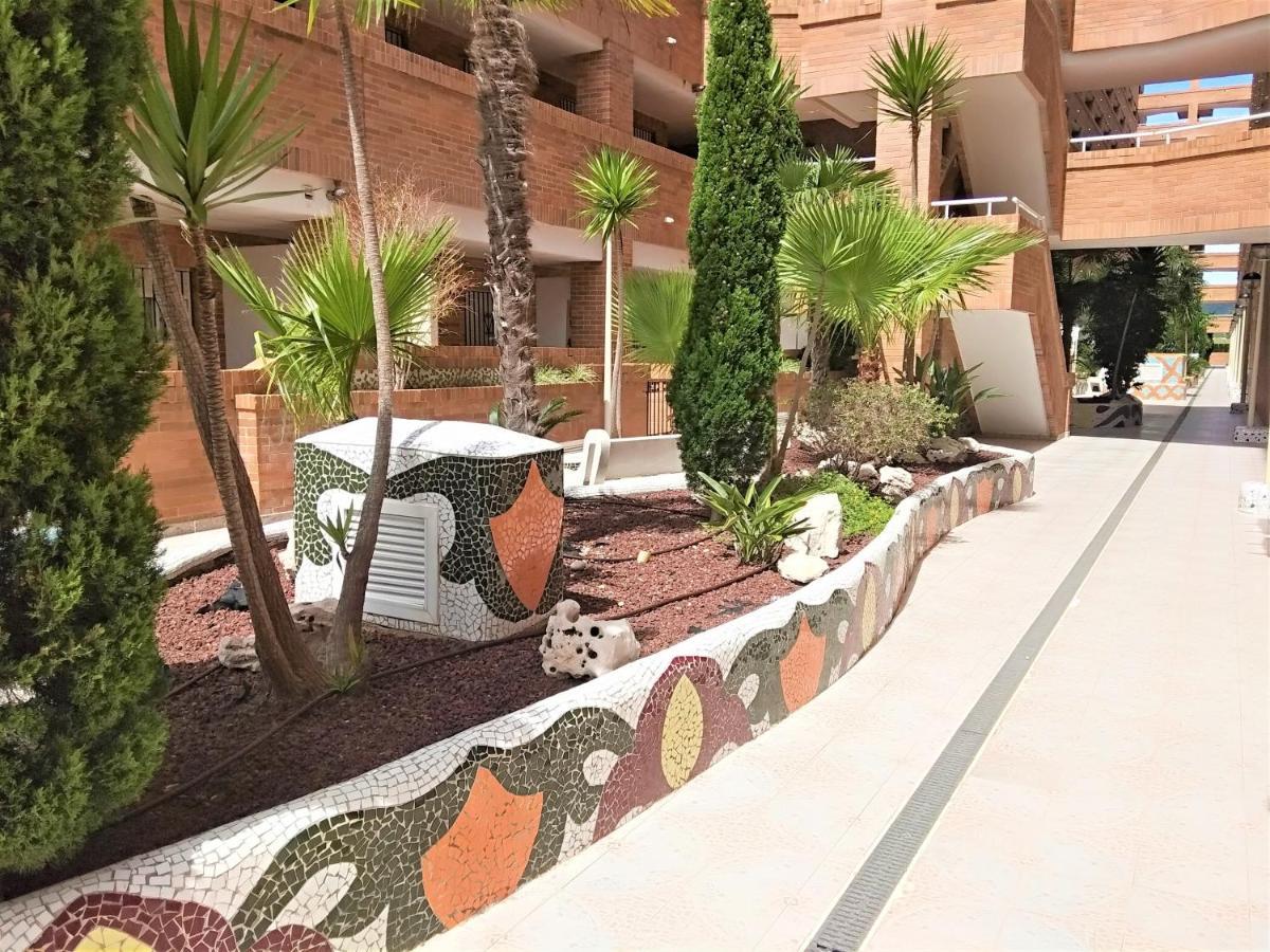Acv - Torremar-2ª Linea, Planta 1, Sur Apartamento