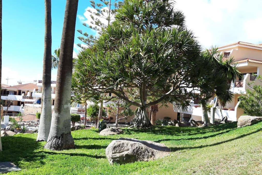 Apartment With Pool And Gardens Near The Coast San Miguel de Abona