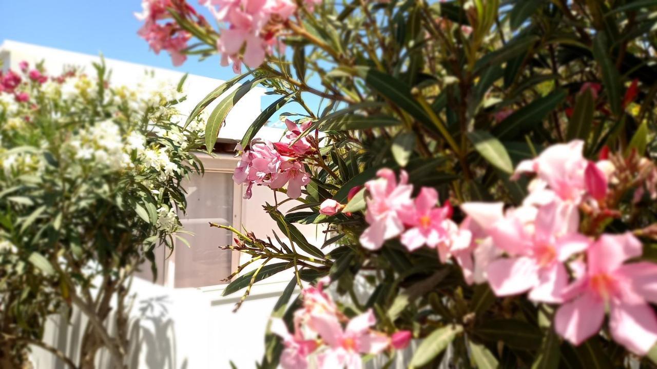 Apartamento Little Loft Playablanca