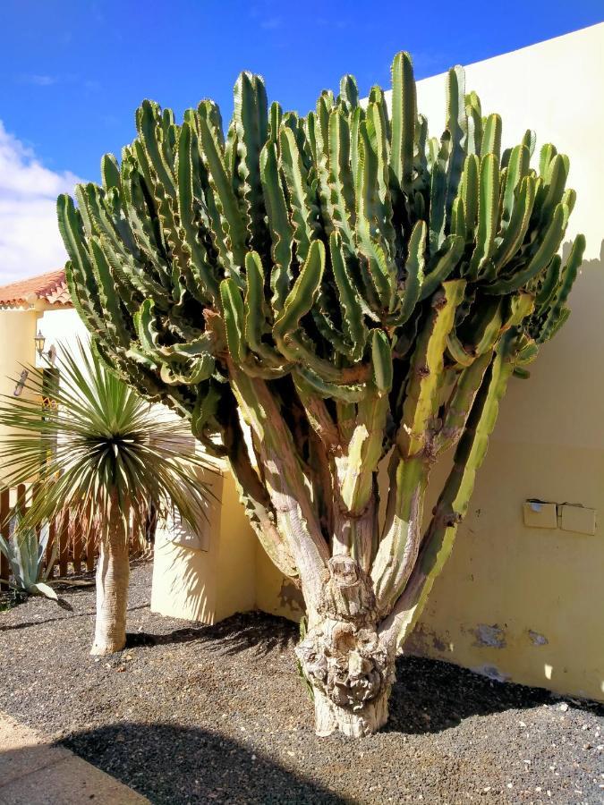 Holiday home Casa Alma Caleta De Fuste