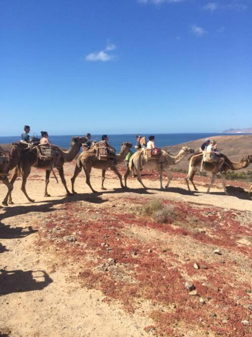Front With Stunning Ocean Views! Costa Calma