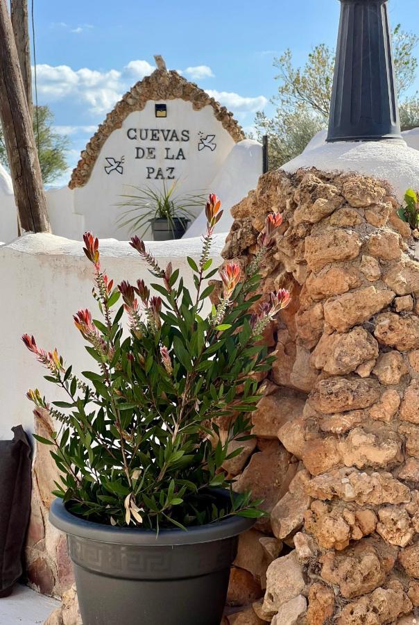 Сasa de vacaciones Cuevas De La Paz - Cave House Holidays *