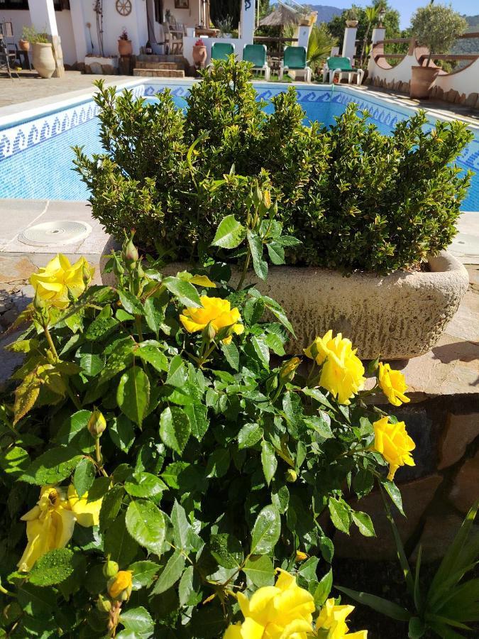 Casa La Serena Сasa de vacaciones