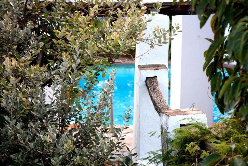 Guest house El Anon Jimena De La Frontera