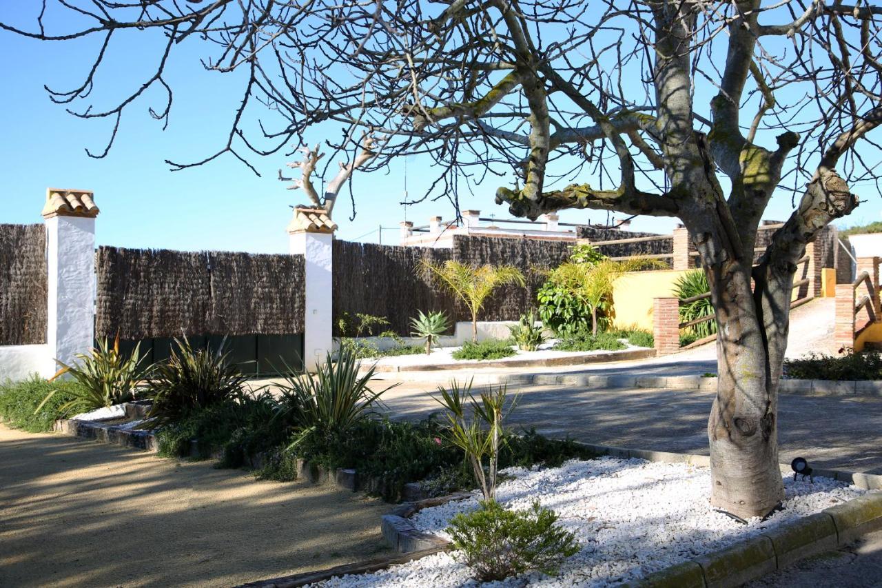 Casas Dibaca By Patria