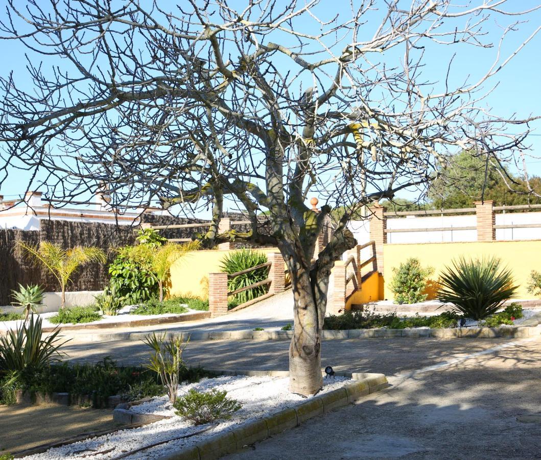 Casas Dibaca By Patria Vejer de la Frontera