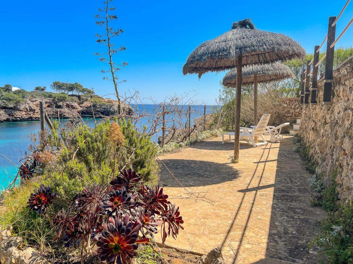 Guacarachas Cala d'Or (Mallorca)