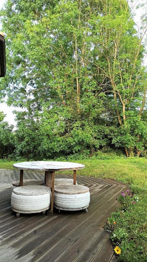 Mini Casa Con Jardin