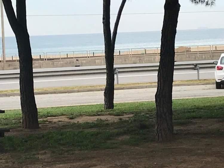 Apartamento Apartamento En 1a Linea De Mar En Premiá Premiá de Mar