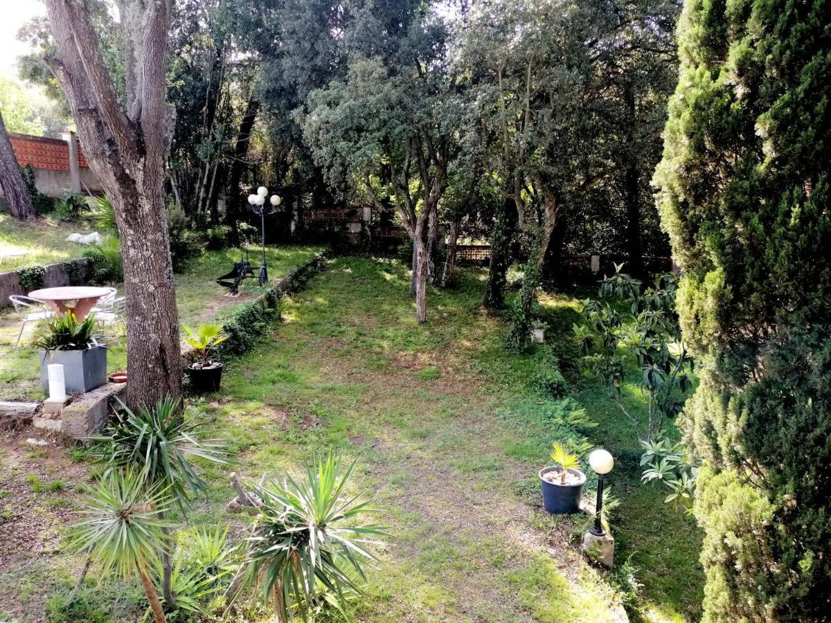 Costa Brava & Garden Llagostera
